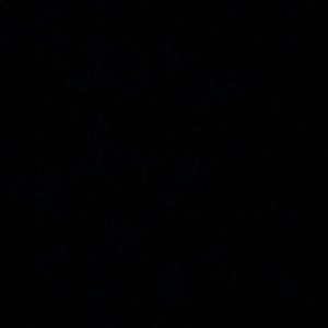 Meet your Posher, Elsa